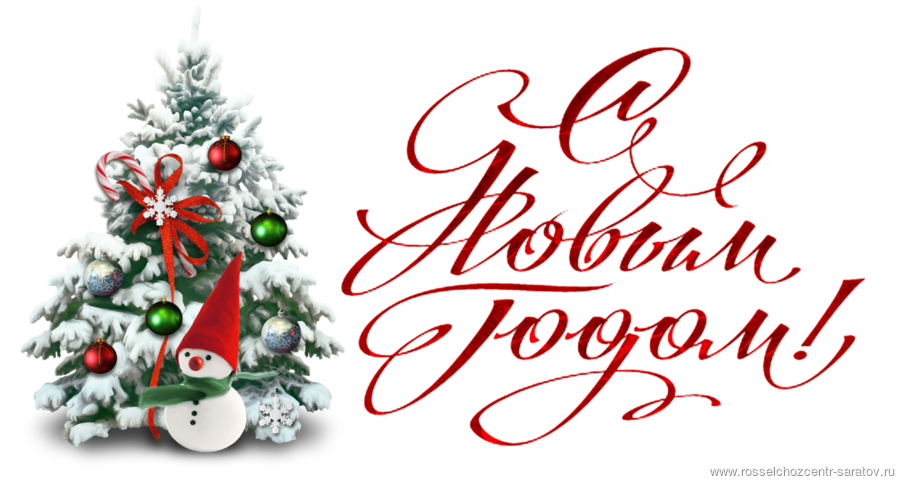 С Новым Годом! С Новым Годом!