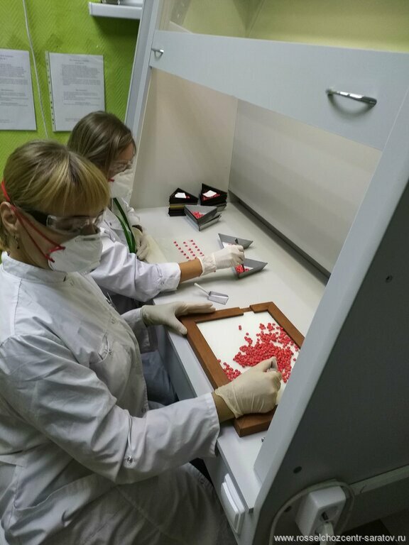 Проверка точности результатов лабораторных исследований Проверка точности результатов лабораторных исследований