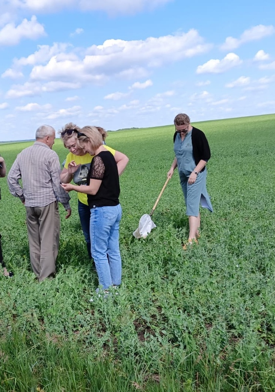 О мониторинге посевов сельскохозяйственных культур в Лысогорском и Калининском районах Саратовской области