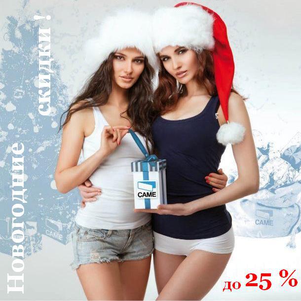 Новогодняя акция до 25% на автоматику и шлагбаумы! Новогодняя акция до 25% на автоматику и шлагбаумы!