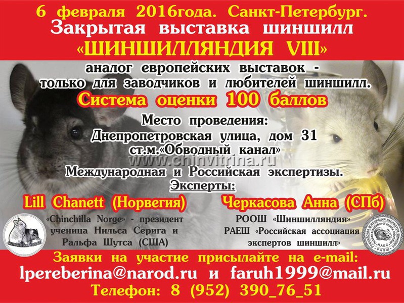 Закрытая выставка в СПб Закрытая выставка в СПб
