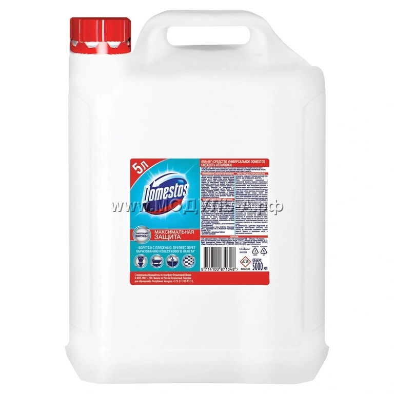 Domestos Professional        1         