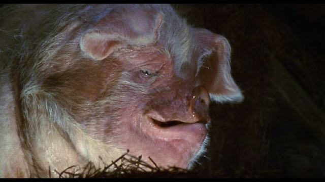СКОТНЫЙ ДВОР / ANIMAL FARM (1999) DVDrip