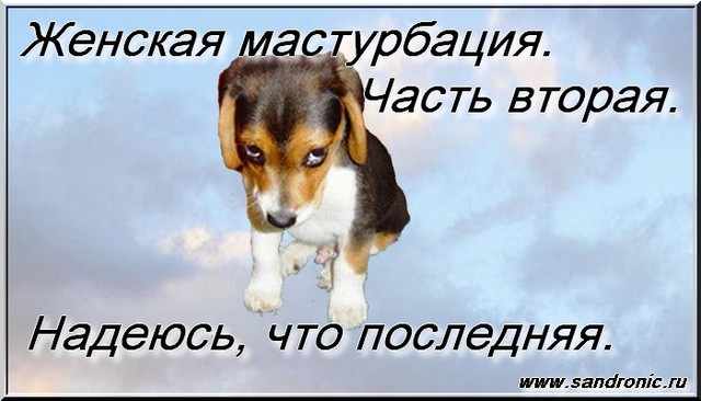 Женская мастурбация. Часть вторая. Надеюсь, что последняя. Женская мастурбация. Часть вторая. Надеюсь, что последняя.