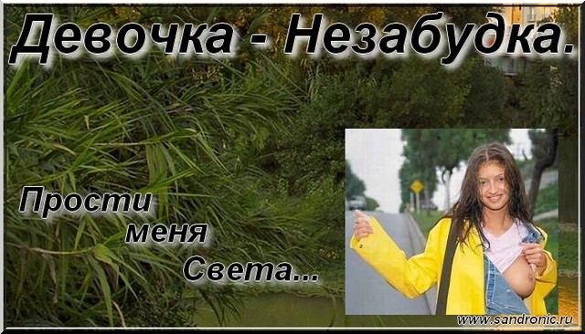 Девочка-Незабудка. Прости меня Света… Девочка-Незабудка. Прости меня Света…