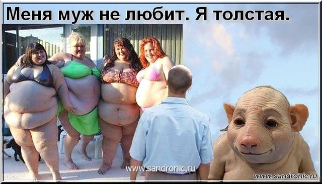 Меня муж не любит. Я толстая. Меня муж не любит. Я толстая.
