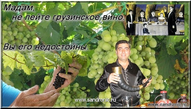     Madam, not пейте Georgian вино. You are unworthy it(him).