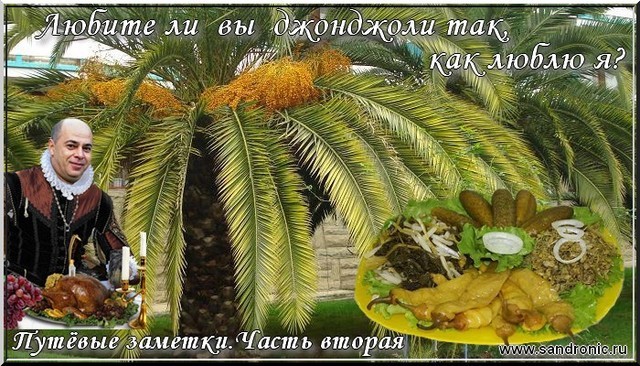 Оригинал изображения: www.sandronic.ru Путёвые заметки. Любите ли вы джонджоли так, как люблю я? Часть вторая