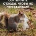 Экологическое просвещение