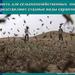 О проведении обследований и мероприятий по обработке сельхозугодий против саранчовых вредителей в муниципальных районах области