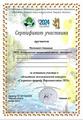 Наши достижения за ноябрь 2024 года