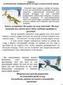 Правила поведения детей на водных объектах в осенне-зимний период
