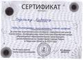 Наши достижения за сентябрь 2024 года