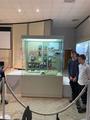 Экскурсия в краеведческий музей города Великие Луки