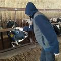 Экскурсия на экоферму 