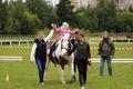 Первый фестиваль иппотерапии и оздоровительной верховой езды "ВАЛТАУ" в Ижевске