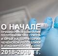 Прививочная кампания по профилактике гриппа и Орви на территории Чеченской республики.
