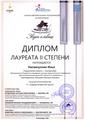 Нигматуллин Илья