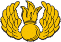 Малая эмблема (герб) ВДВ - с 2009 года