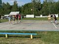 Лагерь - это жизнь, полная веселья и приключений!