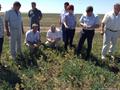 В двух районах Саратовской области введён режим ЧС из-за засухи