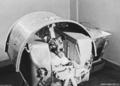 Первая собака-космонавт: 55 лет назад Лайка полетела в космос