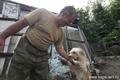 Благовещенский «Мазай» спасает собак из затопленных сел