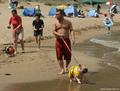 Досуг собак на пляже в Японии