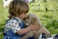 Ученые доказали противоаллергическое влияние собак на детей
