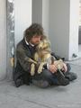 Благотворительный проект в США для животных бездомных хозяев