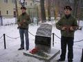 Концертная деятельность