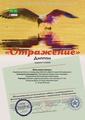 Международный фестиваль-конкурс искусства и творчества "Отражение"