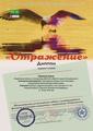 Международный фестиваль-конкурс искусства и творчества "Отражение"