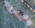 Открытый Чемпионат Озёрского городского округа по плаванию 2013