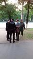 Бельские казаки провели очередное патрулирование совместно с МВД.