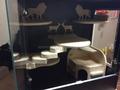 Клетка витрины для 1-2 шиншилл, в корпусе чёрного цвета.