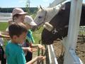 Детский конный лагерь в «Белой лошади»!