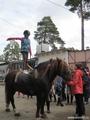 соревнования по конному спорту "Весенние старты" 