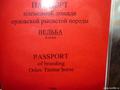 Красный Паспорт Вниик