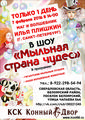 Только 7 февраля детский праздник "Мыльная страна Чудес" в КСК "Конный Двор"