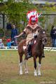 Приглашаем всех желающих посетить соревнования по конному спорту  в г. Челябинске.  
