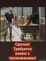 Конюх с проживанием.