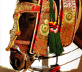 Юлия Серкова "Национальные конные украшения. Голова и шея"