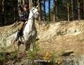Осенняя прогулка на Тальков камень с КСК "Белый Единорог"