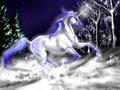 По поводу приезда на Урал Деда Мороза в конном клубе «Белый Единорог» устроят праздник