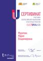  Всероссийская лаборатория культурных проектов «CULTURALICA — 2025», 22.03.2025