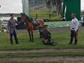 В Талице прошел фестиваль казачьей культуры «Казачья застава у горы Гляден. Продолжая традиции»