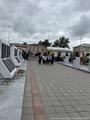 Казаки станицы Камышловская приняли участие в церемонии возложения венков