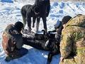 В селе Большая Лая состоялась очередная 