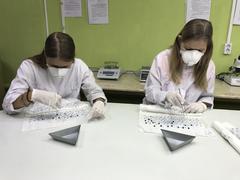 ИНФОРМАЦИОННЫЙ ЛИСТОК №2 от 06.05.2024 г. Об усилении внимания к необходимости исследований на сортовые и посевные качества семян с/х растений